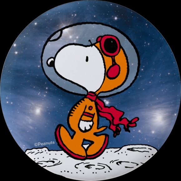 astronautsnoopy